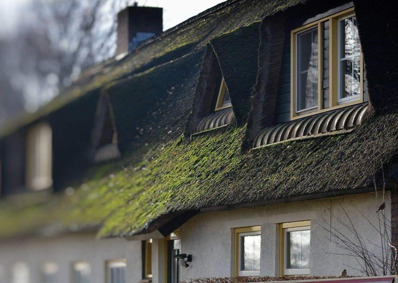 B&B-Hotel De Joremeinshoeve Kaatsheuvel Kültér fotó